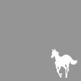 WHITE PONY
