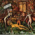 WASTED IN AMERICA