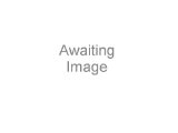 ZOOROPA(1993,LP,USED)