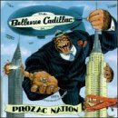 PROZAC NATION