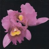 ORCHID