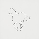 WHITE PONY