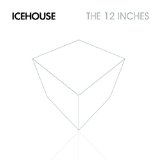 12 INCH VERSIONS & REMIXES VOL.1(2CD,REM,1983-1993,22 TRACKS)
