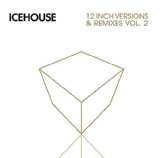 12 INCH VERSIONS & REMIXES VOL.2