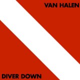 DIVER DOWN