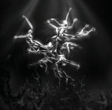 SILVER TREE