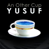 AN OTHER CUP