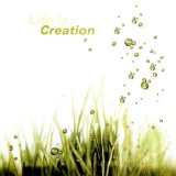 LIFE IS CREATION