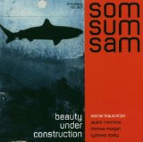 BEAUTY UNDER CONSTRUCTION