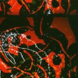 NERVE NET