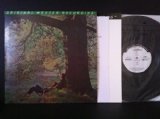 PLASTIC ONO BAND / 180 GRAMM ULTRA ANALOG LP