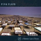 A MOMENTARY LAPSE OF REASON/ REM