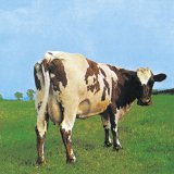 ATOM HEART MOTHER