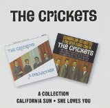 CALIFORNIA SUN / SHE LOVES YOU