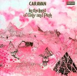 IN THE LAND OF GREY & PINK/ LIM PAPER SLEEVE