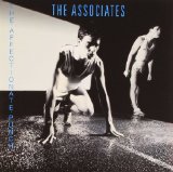 AFFECTIONATE PUNCH /REM