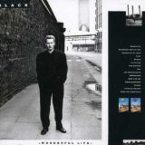 WONDERFUL LIFE(1987,REM.BONUS 5 TRACKS)