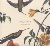SUGAR BIRD