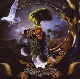 PEPPERMINT TREE & SEEDS