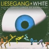 VISUAL SURVEILLANCE OF EXTREMITIES