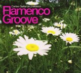 FLAMENCO GROOVE