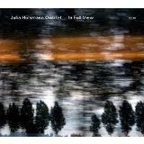 IN FULL VIEW (SLIPCASE)