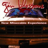 NEW MISERABLE EXPERIENCE