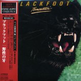 TOMCATTIN' /LIM PAPER SLEEVE