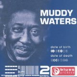 BLUES ARCHIVE-STORY OF THE BLUES CHAPTER 15(2CD,LONGBOX)