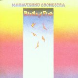 BIRDS OF FIRE/ REM