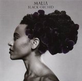 BLACK ORCHID