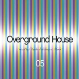 OVERGROUND HOUSE-05