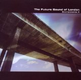 ENVIRONMENTS-3(2010)