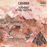 IN THE LAND OF GREY & PINK/ 180 GRAM