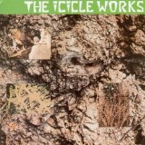 ICICLE WORKS