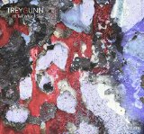 I'LL TELL WHAT I SAW