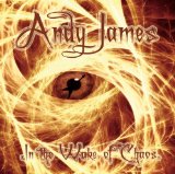 IN THE WAKE OF CHAOS