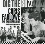 DIG THE BUZZ(FIRST RECORDING 1962-1965,18 TRACKS)