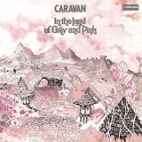 IN THE LAND OF GREY AND PINK/ LIM PAPER SLEEVE