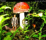 HUR BLEV DET SA HAR?