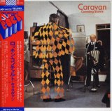 CUNNING STUNTS/LIM PAPWER SLEEVE
