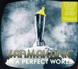 A PERFECT WORLD(2011,BONUS 2 TRACKS,DIGIPACK)