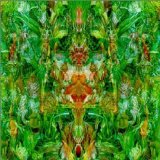 EMERALD AETHER