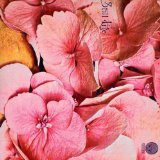 STILL LIFE(LTD.DIGIPAK)